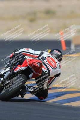 media/May-13-2023-SoCal Trackdays (Sat) [[8a473a8fd1]]/Turn 11 Backside (945am)/